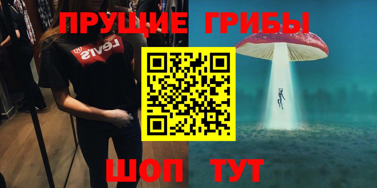 Псилоцибиновые грибы Psilocybine cubensis Барнаул
