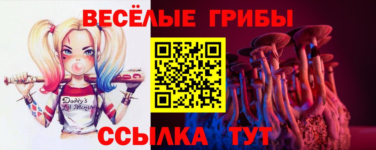 Псилоцибиновые грибы прущие грибы  купить наркотик  Барнаул  Галлюциногенные грибы MAGIC MUSHROOMS  Вход с VPN 